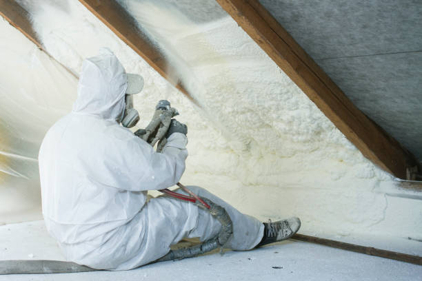 Best Reflective Insulation in Lacoochee, FL