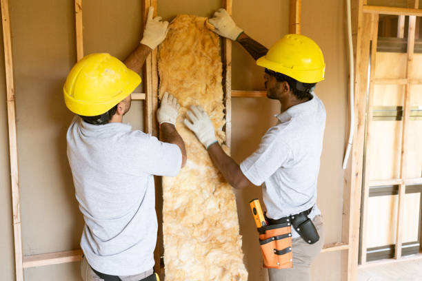 Types of Insulation We Offer in Lacoochee, FL