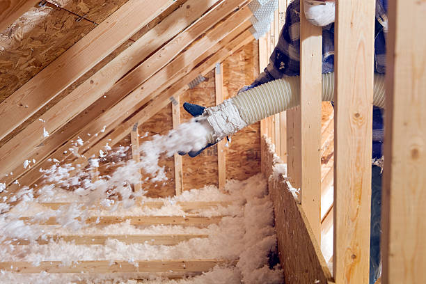 Best Attic Insulation Installation in Lacoochee, FL