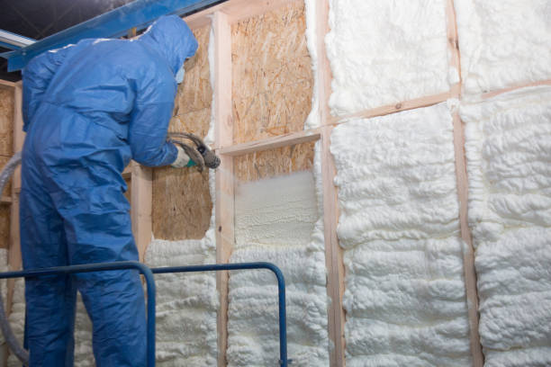 Best Crawl Space Insulation in Lacoochee, FL